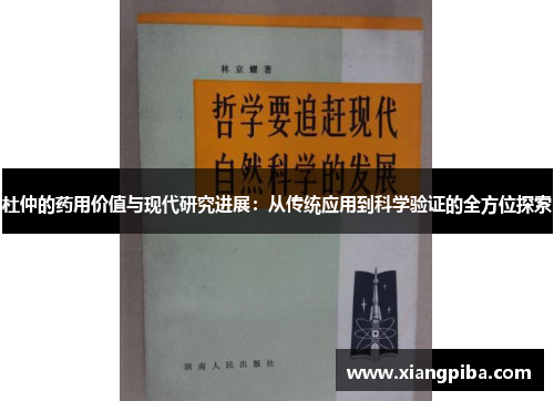 杜仲的药用价值与现代研究进展：从传统应用到科学验证的全方位探索